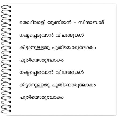 Picture of the product