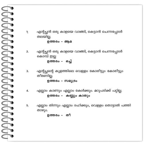 Picture of the product