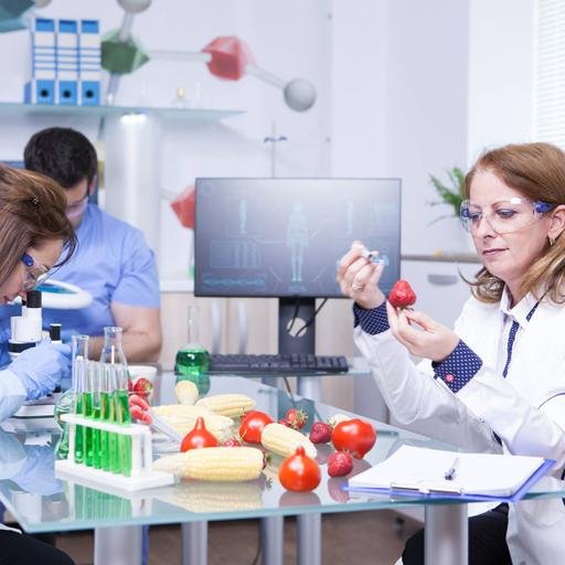 Picture of the product