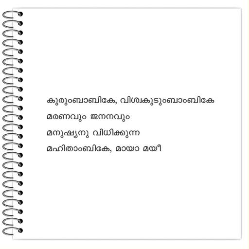 Picture of the product