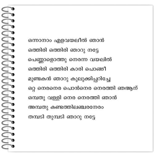 Picture of the product