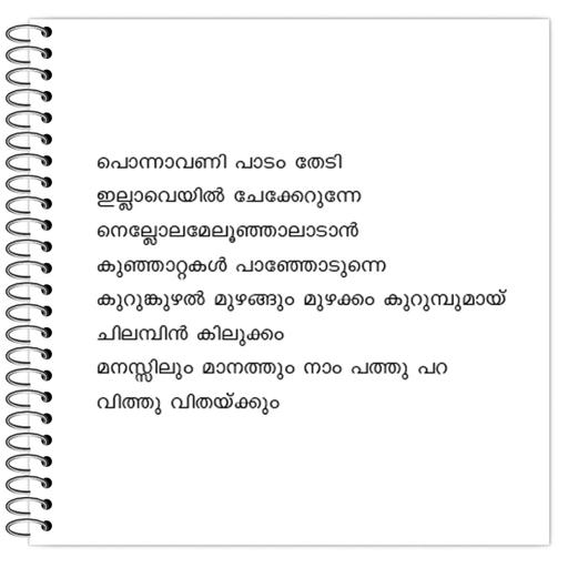 Picture of the product