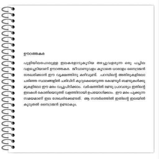 Picture of the product