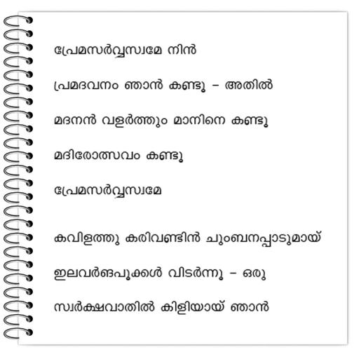 Picture of the product