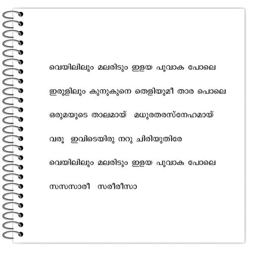 Picture of the product