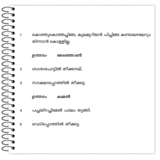 Picture of the product