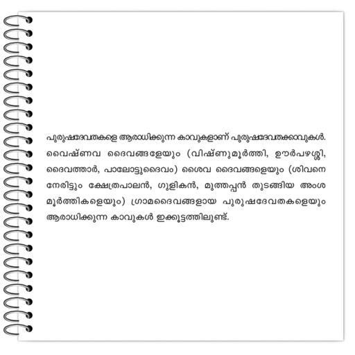 Picture of the product