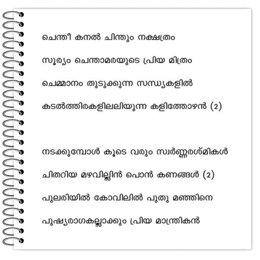 Picture of the product