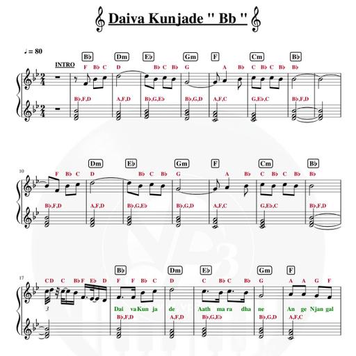 Picture of the product