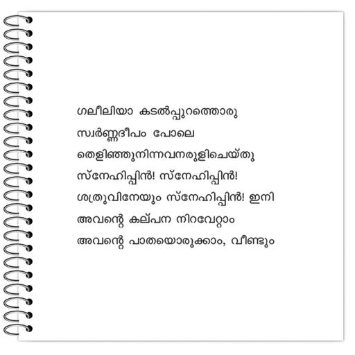 Picture of the product