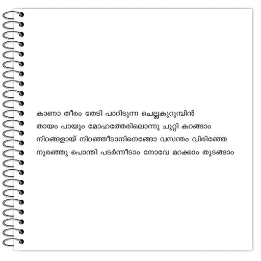 Picture of the product