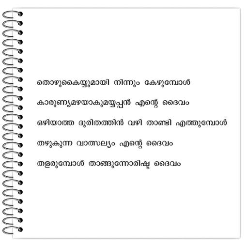 Picture of the product