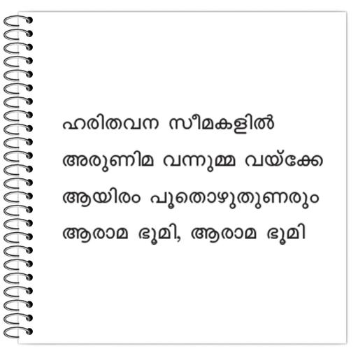 Picture of the product