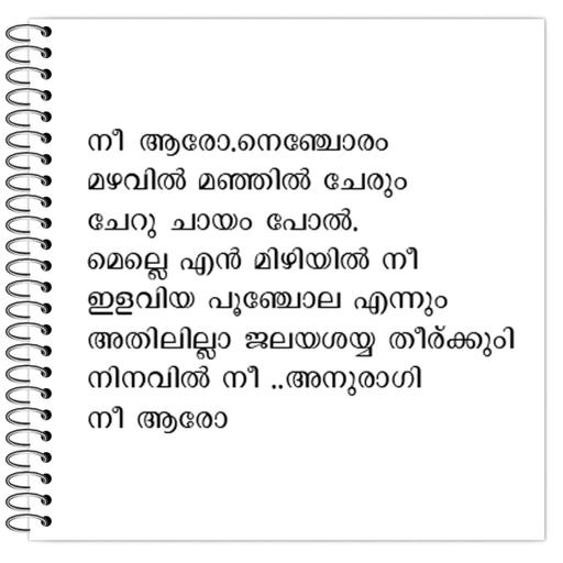 Picture of the product