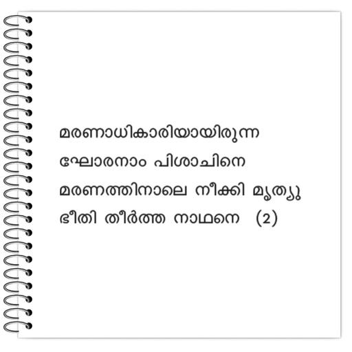 Picture of the product