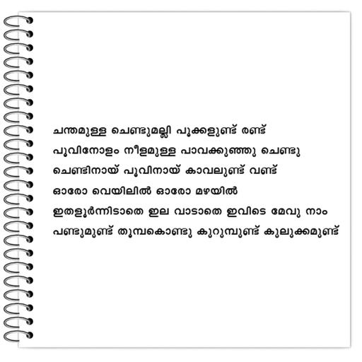 Picture of the product