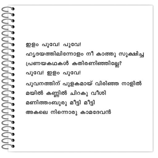 Picture of the product