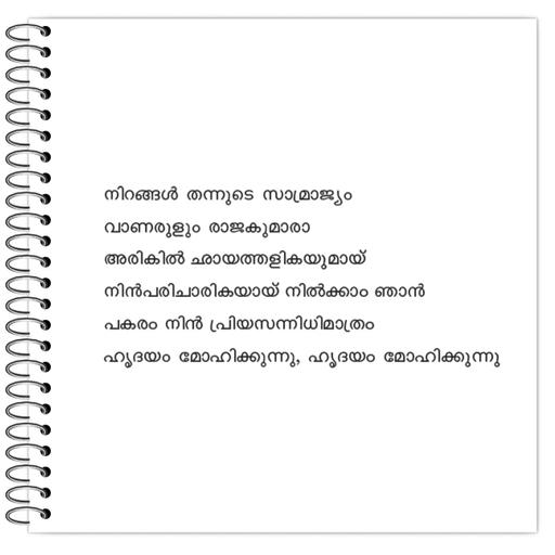 Picture of the product