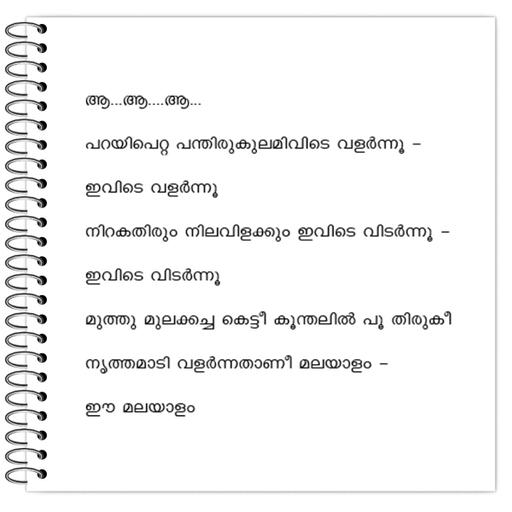 Picture of the product