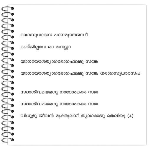 Picture of the product