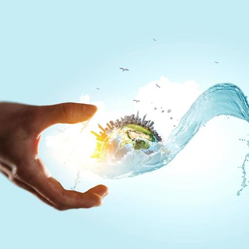 Picture of the product