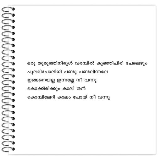 Picture of the product