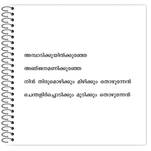 Picture of the product