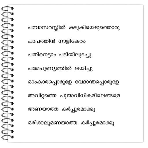 Picture of the product