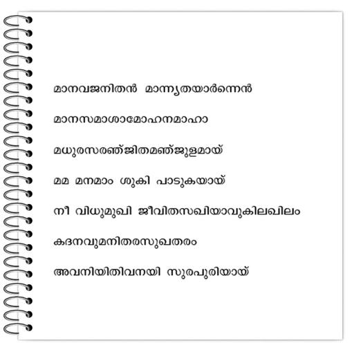 Picture of the product