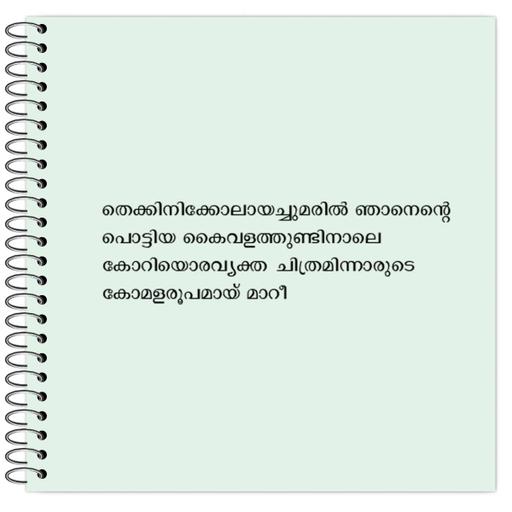 Picture of the product