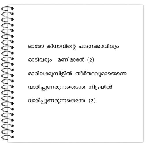 Picture of the product