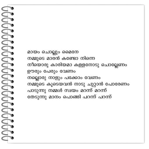 Picture of the product