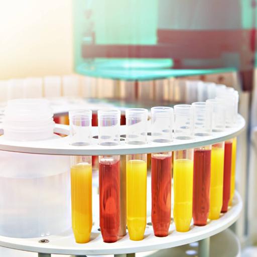 Picture of the product