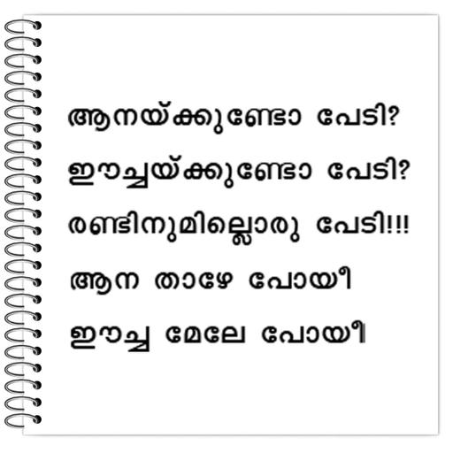 Picture of the product