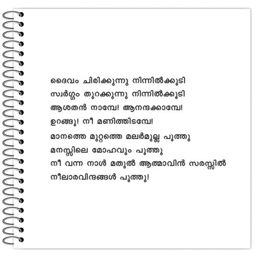 Picture of the product