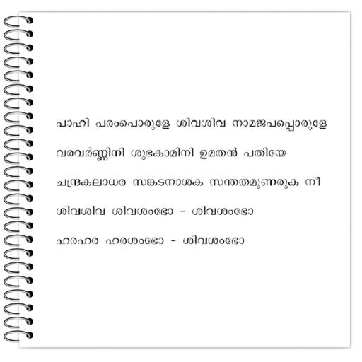 Picture of the product