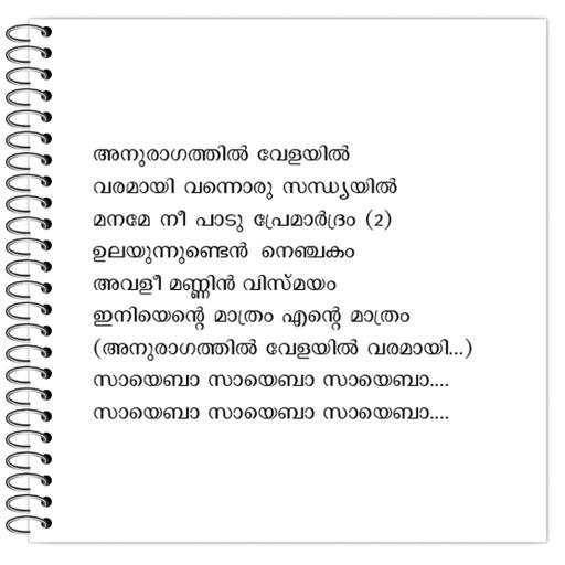 Picture of the product