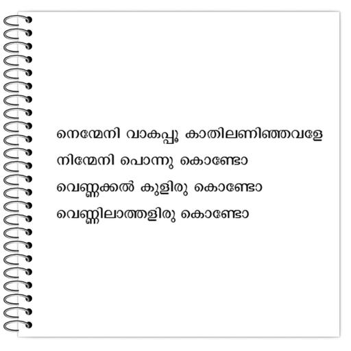 Picture of the product