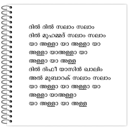 Picture of the product