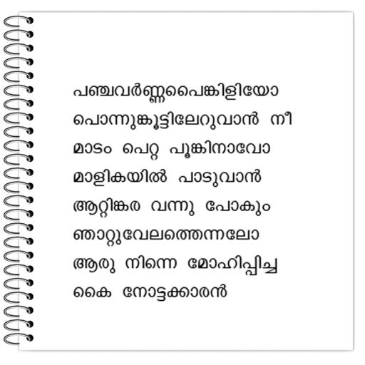 Picture of the product