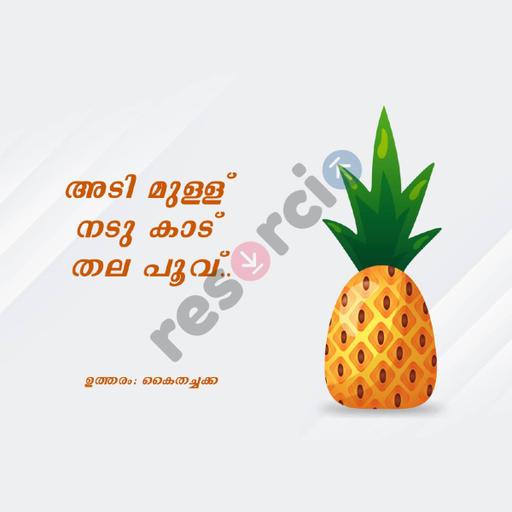 Picture of the product