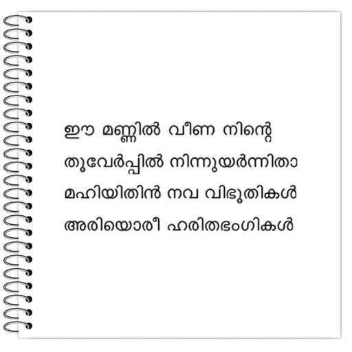 Picture of the product