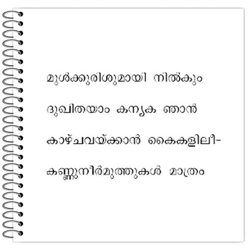 Picture of the product