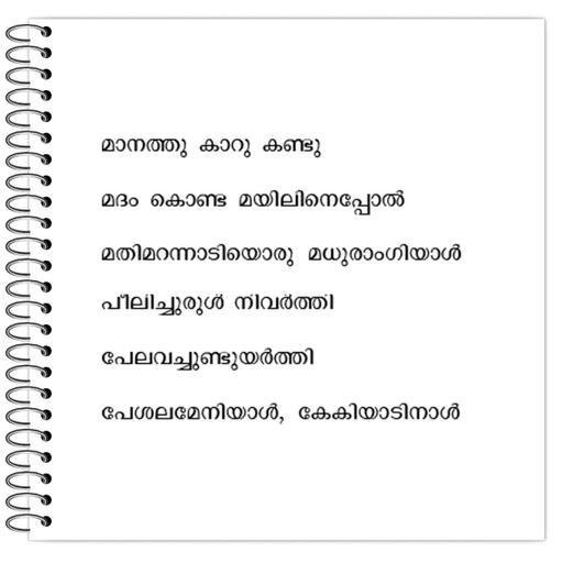 Picture of the product