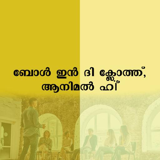 Picture of the product