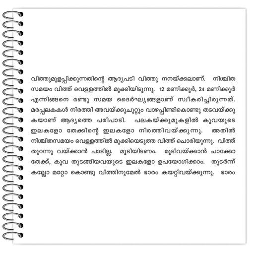 Picture of the product