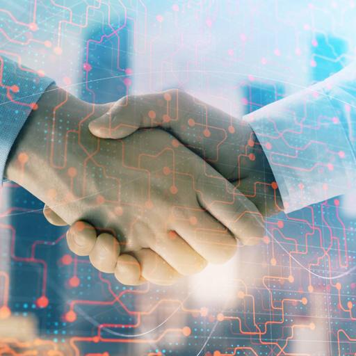 Picture of the product