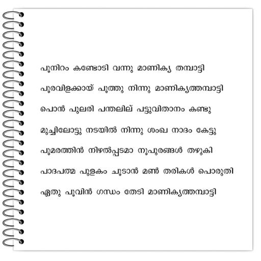 Picture of the product