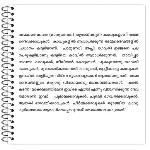 Picture of the product