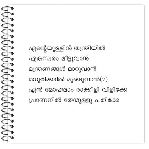 Picture of the product